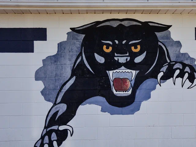 Jemison pride